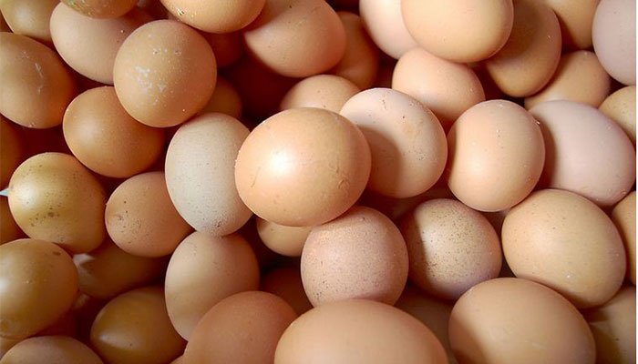 煮鸡蛋需要几分钟 煮鸡蛋一般需要多长时间