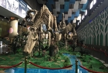 诸城市恐龙博物馆