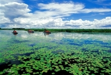 安邦河湿地自然保护区