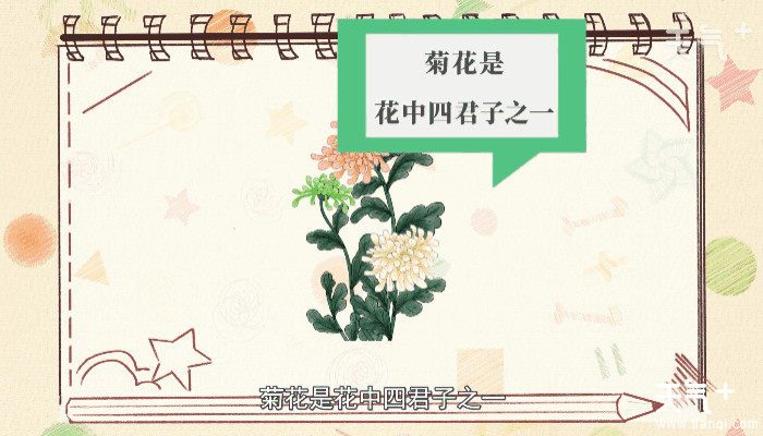 哪些花在秋季开放 tqj